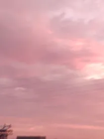 玲羽夜笙