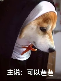 假面骑士小狗神深陷修罗场