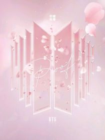 BTS：卧底的999天