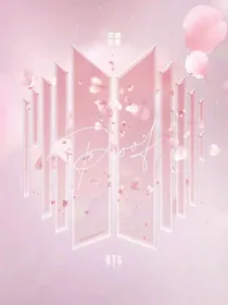 BTS：卧底的999天