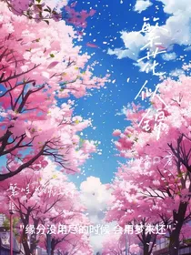 繁花如锦