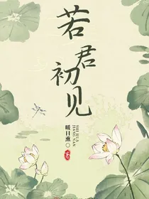 若君初见