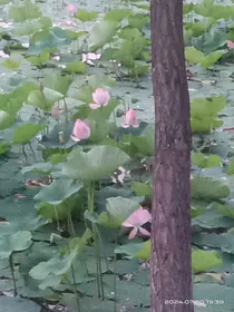 一个将死之人的自述