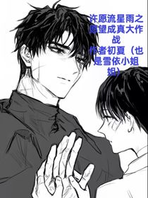 许愿流星雨之愿望成真大作战