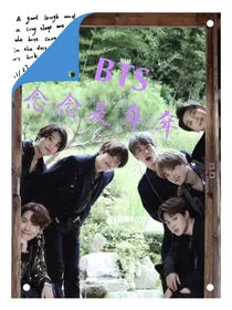 BTS—念念是年年