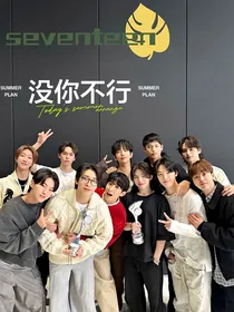 seventeen：没你不行