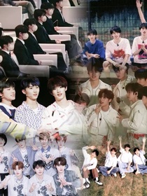 TNT和自创cp：标记-d903