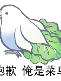 表哥怜我
