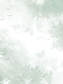 衿岑的随笔