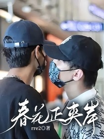 春花正夹岸
