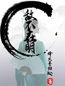 敌不在明（冰九）