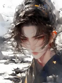 缅北卧底：系统之眼