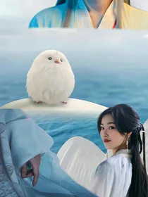 长相思之为爱寻千年