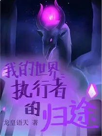 我的世界：执行者的归途