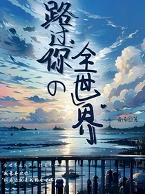 陆过你的全世界