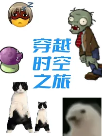 穿梭的时空之旅