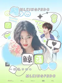 TNT鲸落