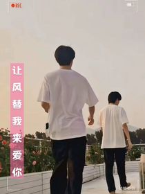 让风替我来爱你