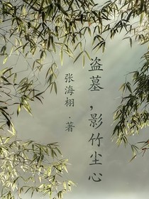 盗墓，影竹尘心