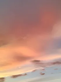 综影视：苏苏的百变人生