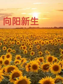 向阳新生……