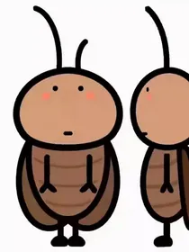 内容复杂的随笔