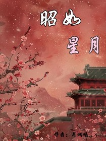 昭如星月