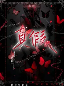 真假之别