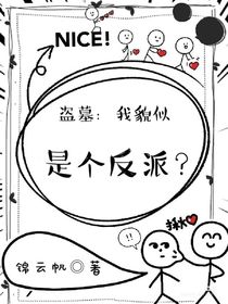 盗笔：我貌似是个反派