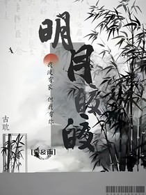 明月皎皎兮