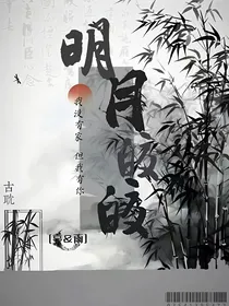 明月皎皎兮