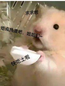 老旧古董