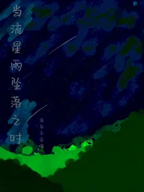 流星雨坠落之时
