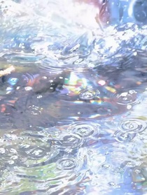 绿白花