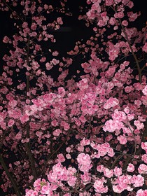 韩娱：偶像密录