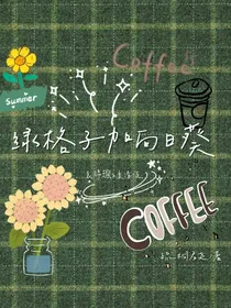 绿格子加向日葵