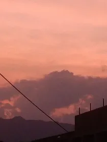 柚糖