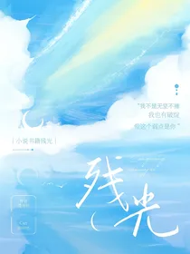 安韩：残光