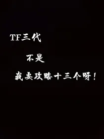 TF三代：不是，我要攻略十三个人呀！