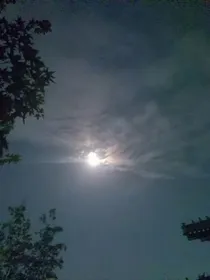 天语阁档案：黑暗中的黎明