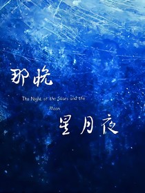 何尚熙华：那晚星月夜
