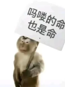 阳光下的薄荷花