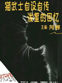 猫武士自设自传之泼星的回忆
