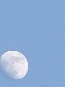 我的爱意你感觉到了吗
