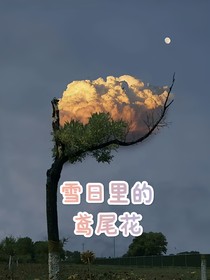 雪日里的鸢尾花
