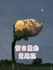 雪日里的鸢尾花