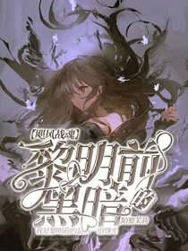 战斗王之飓风战魂6：黎明前的黑暗