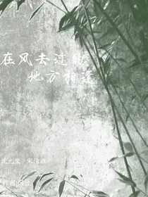 在风去过的地方相逢