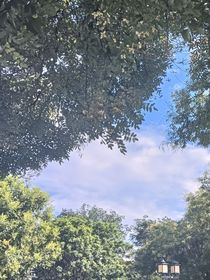 江总你的白月光回国了！