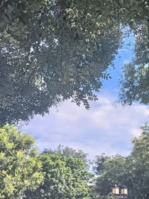 江总你的白月光回国了！
